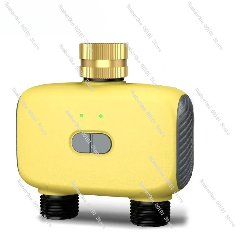 Dual Outlet Smart APP Irrigati - Smart Garden Model 评论和价格