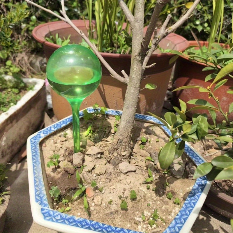 6PCS Indoor Plants Self Wateri - Yoocaa Smart Garden 评论和价格