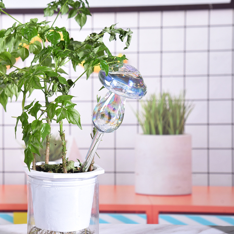 1/2PCS Glass Straw Automatic P - Yoocaa Smart Garden 评论和价格