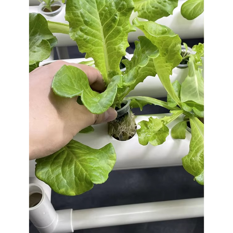 108 Holes Hydroponic Grow Kit  - Aquaponics Home Kit 评论和价格